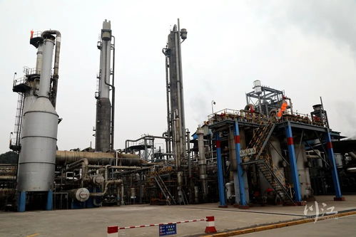 落地半年,這個 鏈條 帶給了瀘州哪些變化