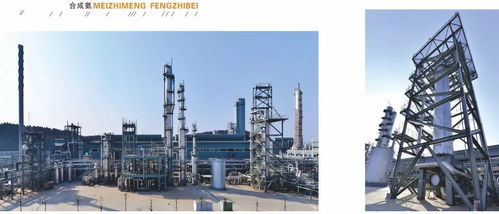 中國(guó)化工報(bào)聚焦四川美豐，一項(xiàng)關(guān)鍵工藝通過科技成果鑒定